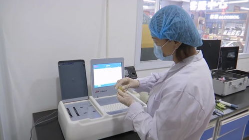 瓜州嚴把農產品質量安全關，讓百姓“菜籃子”拎出幸福感